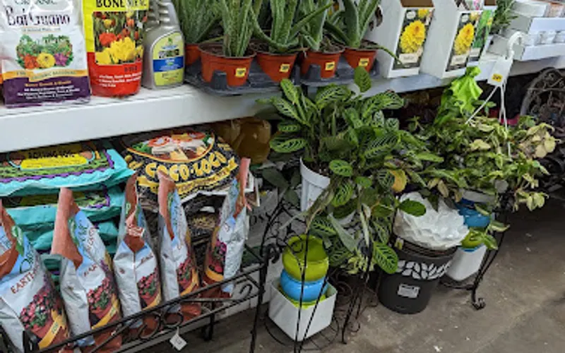 Growers Outlet Co — Plant nursery