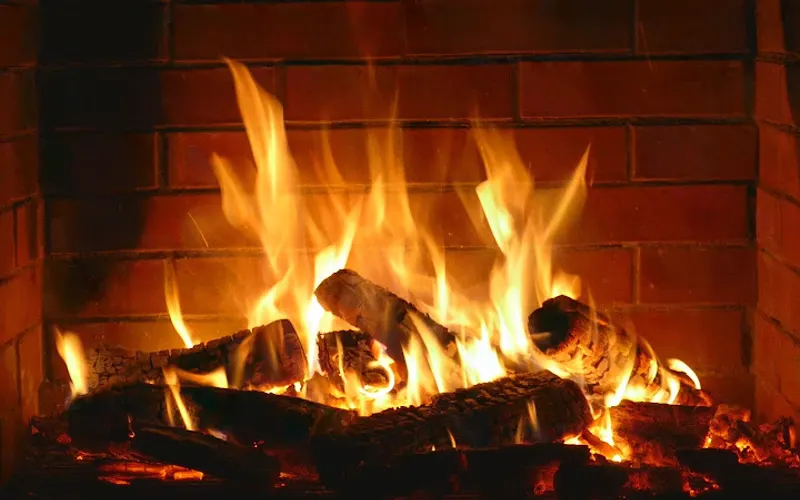 Holy Smoke Firewood — Firewood supplier