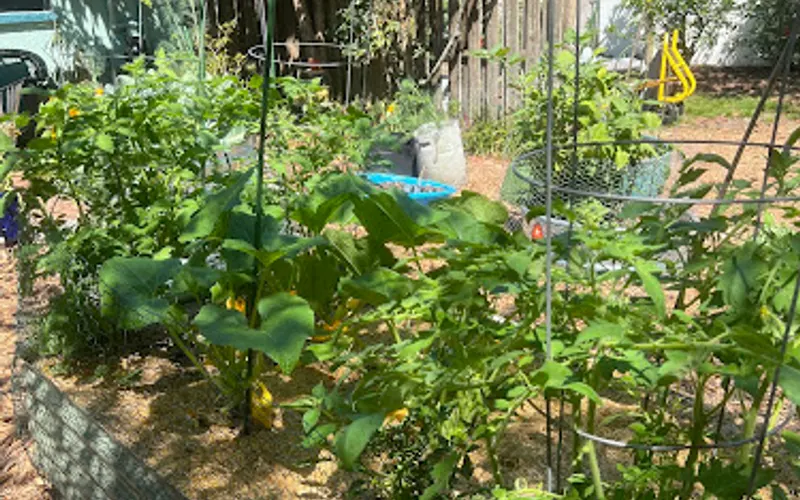 Urban Roots Garden Supply — Garden center