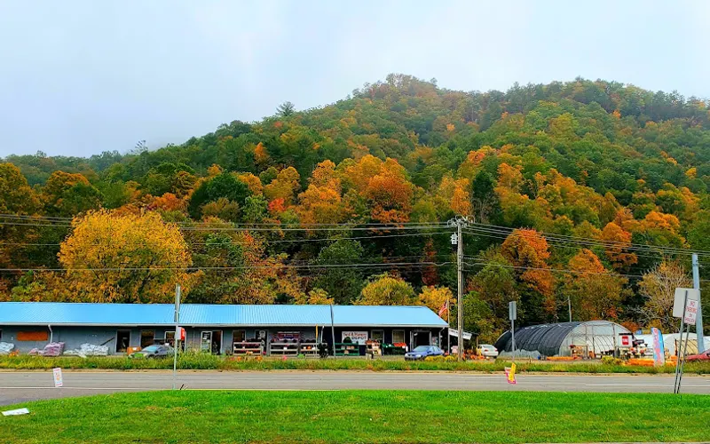 Yard & Nursery Depot — Garden center