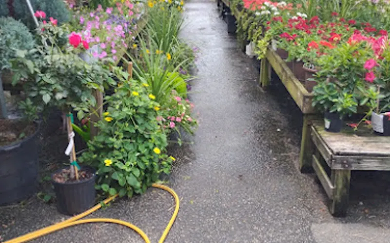 Briar Creek Nursery & Kids Zone — Garden center