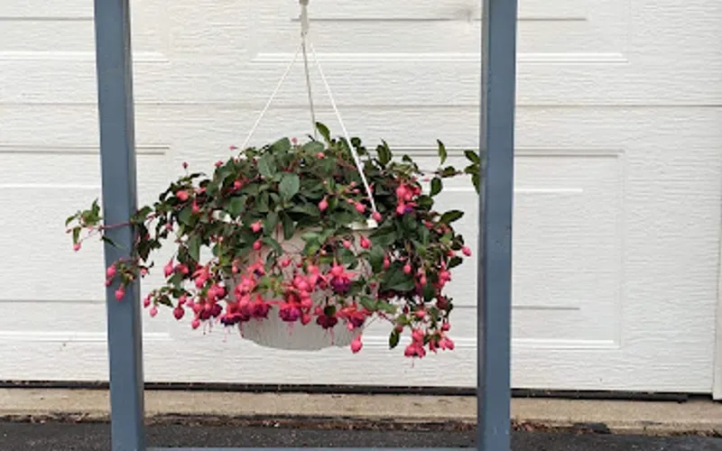 Chamberlain Construction Co / Bark Mulch — Landscaping supply store