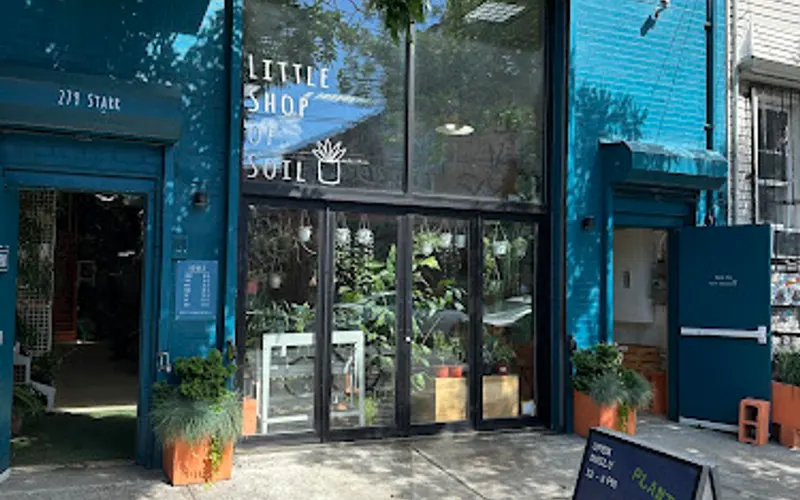 Little Shop of Soil — Plant nursery