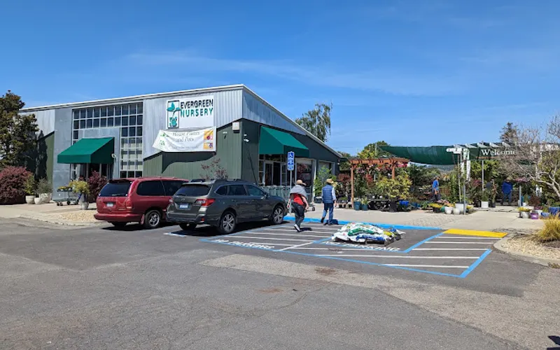 Evergreen Nursery — Landscaper