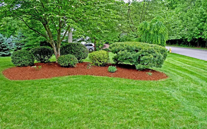Bermudez Mulching — Mulch supplier