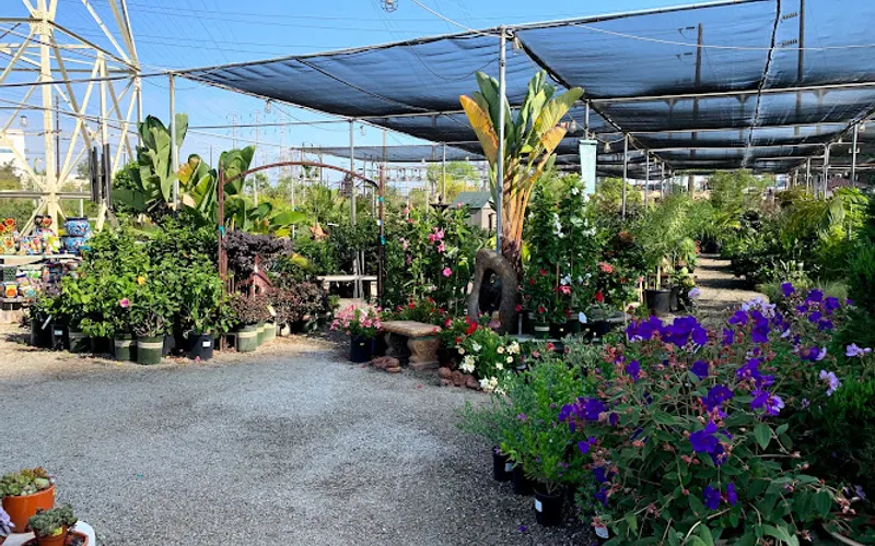 International Garden and Floral Design Center — Garden center
