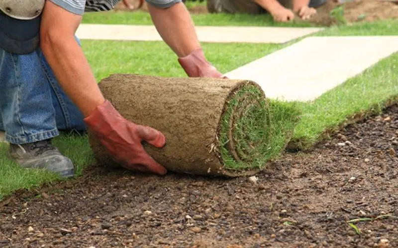 EternaTurf Sarasota — Turf supplier