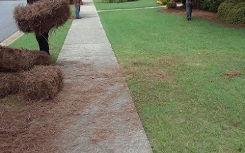 Daniel’s pinestraw, INC — Mulch supplier