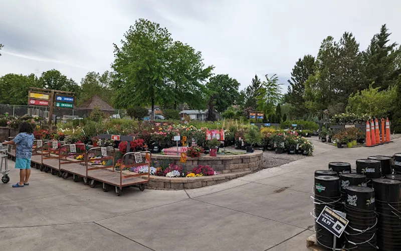 Moana Nursery — Landscaping supply store