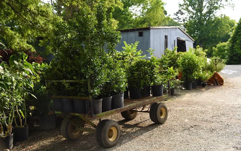 Garden Greenhouses — Garden center