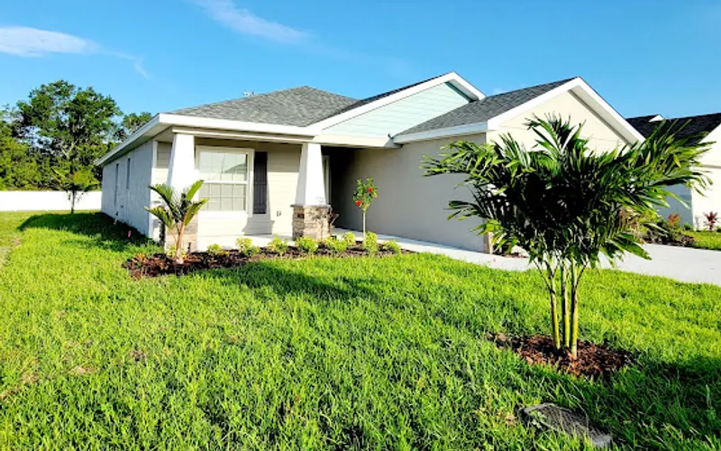 Wholesale Palms — Landscaping supply store