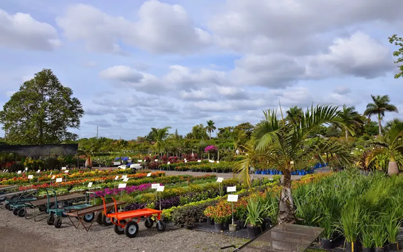 Nu Turf of Pompano Beach, Inc. — Garden center
