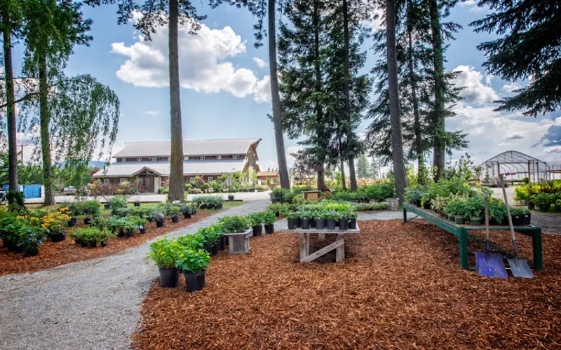 New Leaf Nursery — Garden center