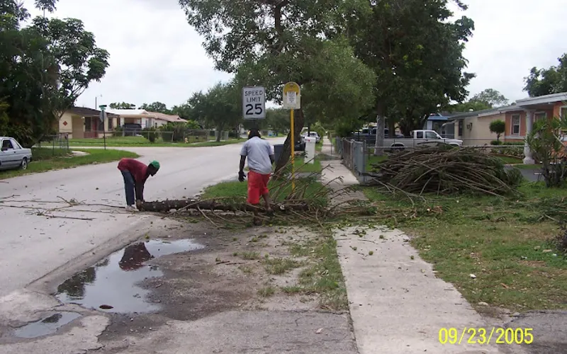 Dwain P Williams Trash Hauling — Tree service