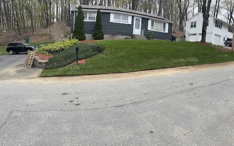 CT SOD — Landscaping supply store