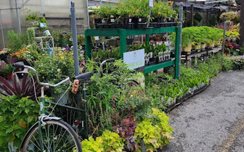 Hewitt's Garden Center Wilton — Garden center