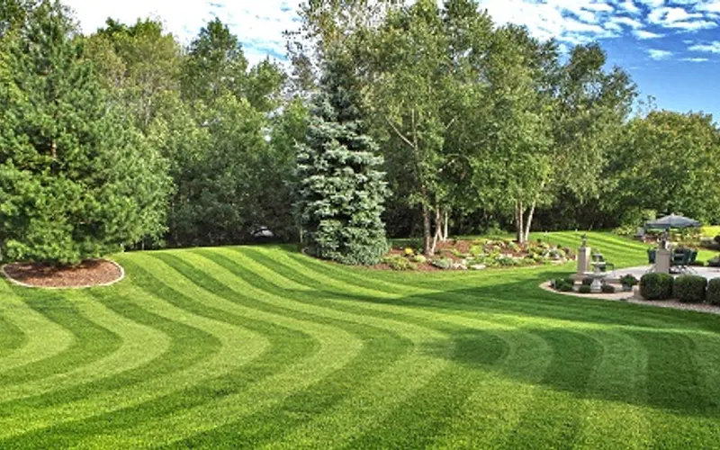 Tru Lawn Care and Landscaping, LLC — Lawn care service