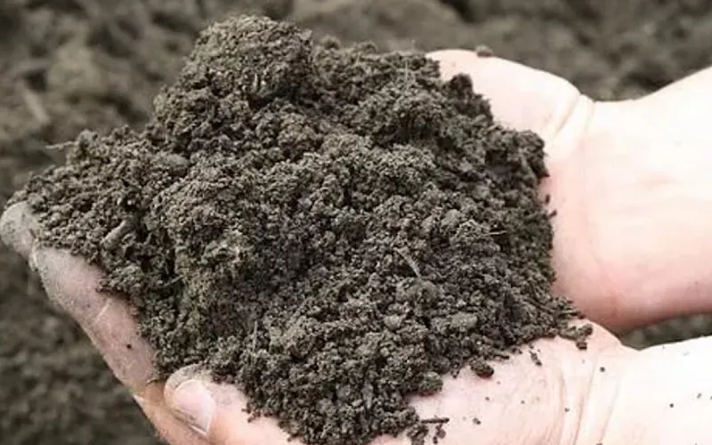Confreda Farms Loam & Mulch Office — Landscaping supply store