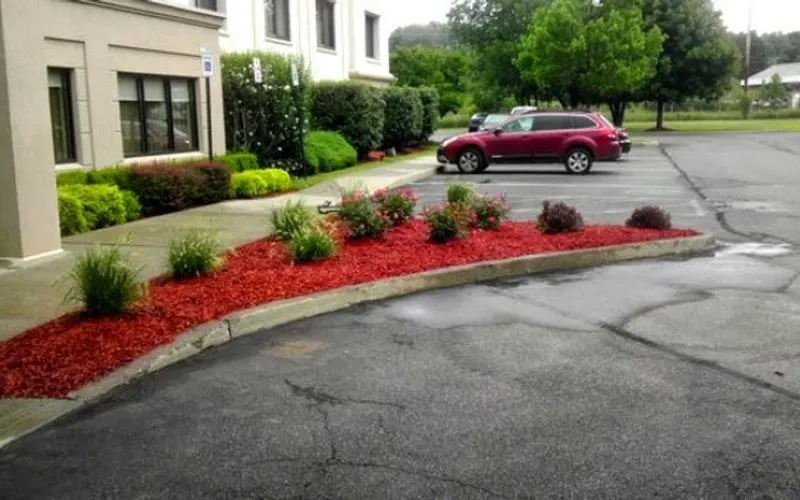 Speranza Landscaping — Landscaper