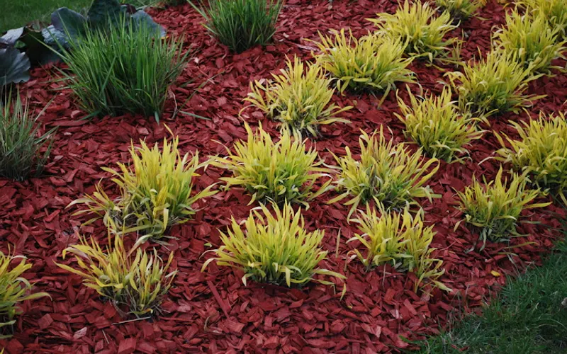 Benscoter Forest Products, Inc. — Mulch supplier