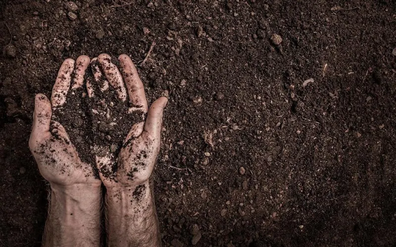 Morris Dirt, Inc — Dirt supplier