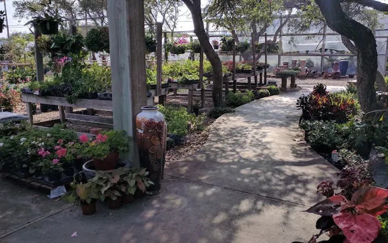 Bloomers Nursery & Landscape — Plant nursery