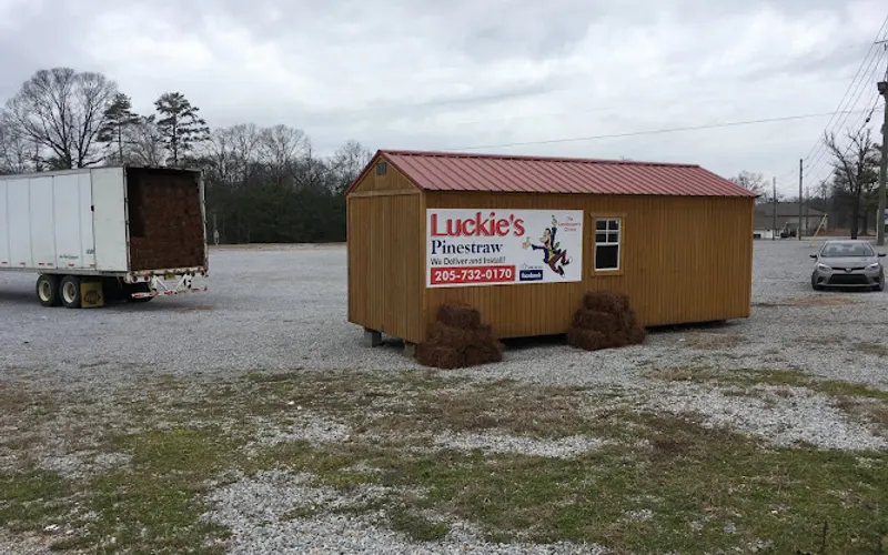Luckies Pinestraw Alabaster — Landscaping supply store