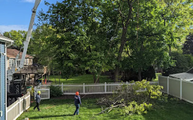 O'Sullivan Tree Care and Recycling — Tree service