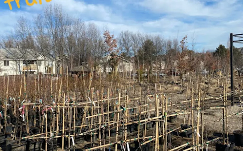 Far West Landscape & Garden Center — Landscaper