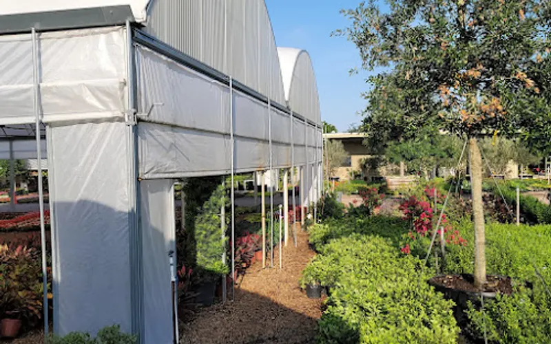 TreeSource Wholesale Nursery — Wholesale plant nursery