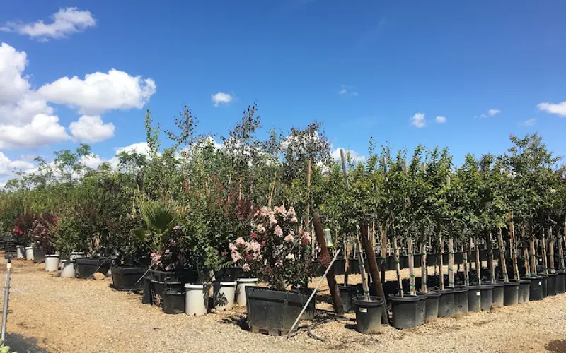 Wyntour Gardens — Garden center