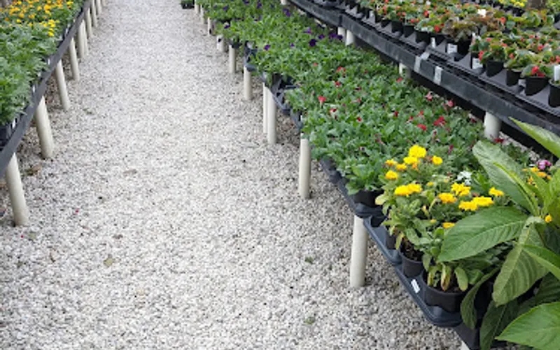 Houston Garden Center — Garden center