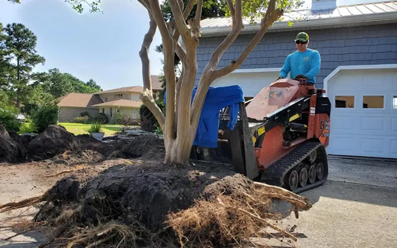 Atlantic Coast Landscape — Landscaper