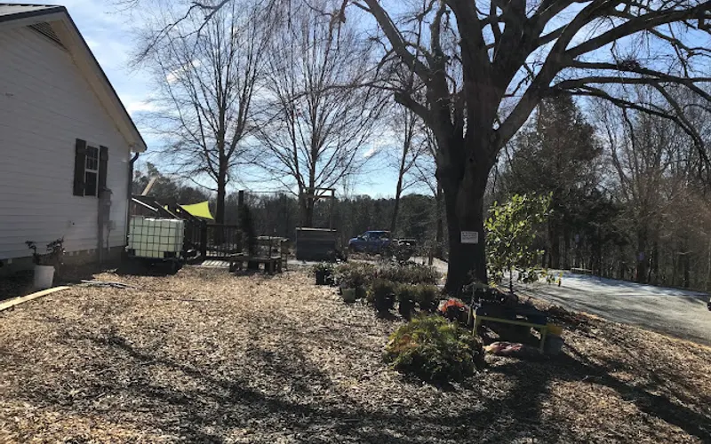Lanier Nursery And Gardens — Plant nursery