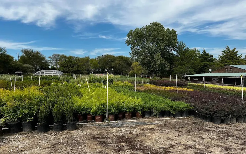Mother Nature's Wholesale Plants — Landscaping supply store
