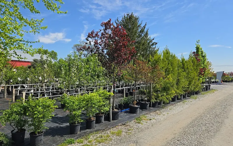 Country Meadows Nursery — Plant nursery