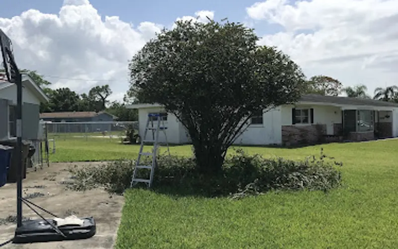 Chris' Complete Lawn Care RMSK LLC — Lawn care service