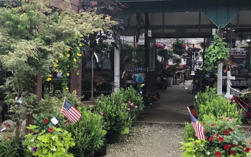 Whitetail Acres Nursery, Landscaping, and Reindeer Farm — Plant nursery
