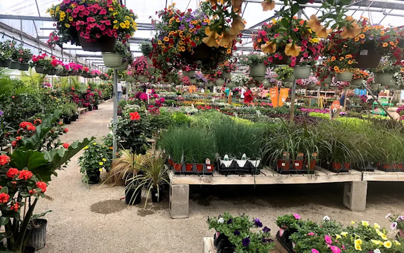 Petitti Garden Centers — Garden center
