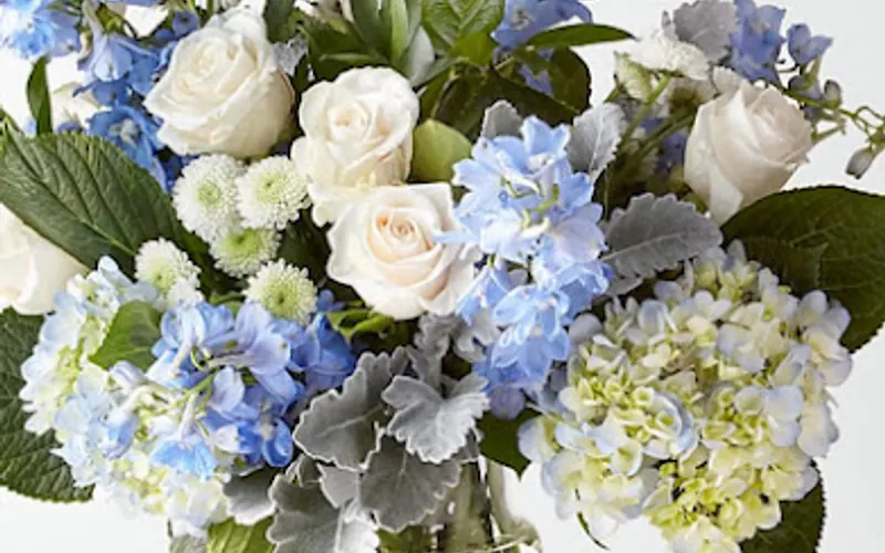 oceanside florist — Florist