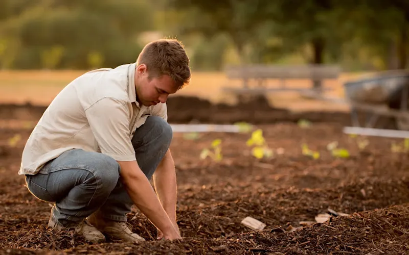 Jersey Cow Farms Compost — Fertilizer supplier