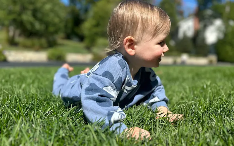 East Coast Sod of Andover, MA — Sod supplier