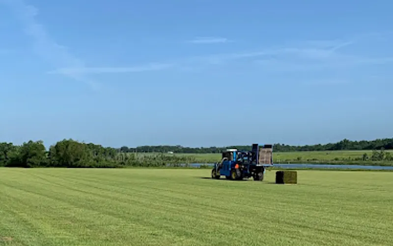 Woerner Agribusiness, LLC — Sod supplier