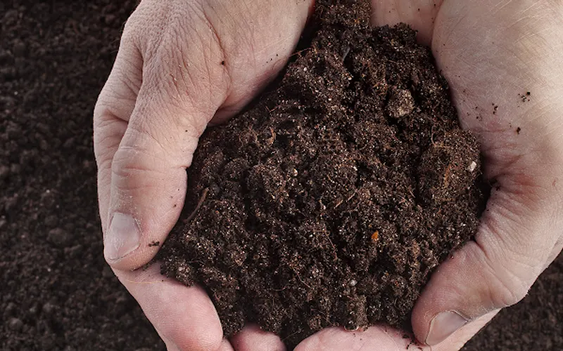 Magic Mulch Man — Mulch supplier