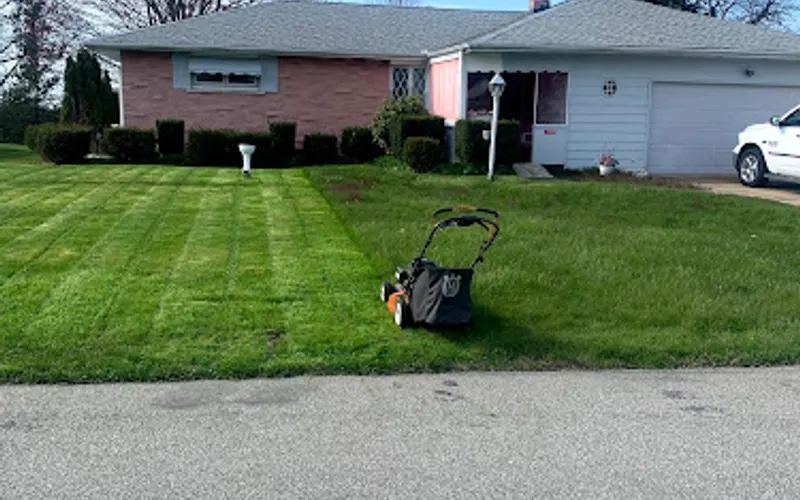 PHELPS LANDSCAPING, LLC — Lawn care service