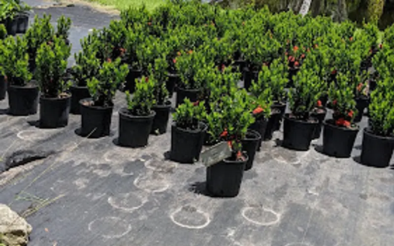 Edgewood Nursery — Sand & gravel supplier