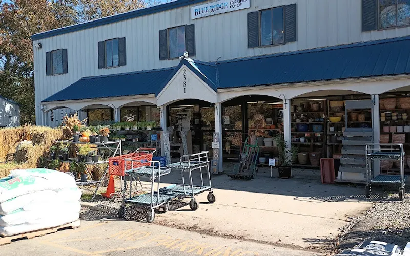 Blue Ridge Farmers Coop-Leake Square Branch — Garden center
