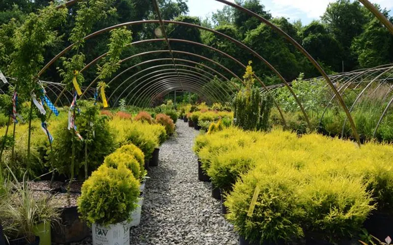 Edwards Nursery — attractions