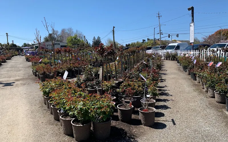 Regan Nursery — Plant nursery