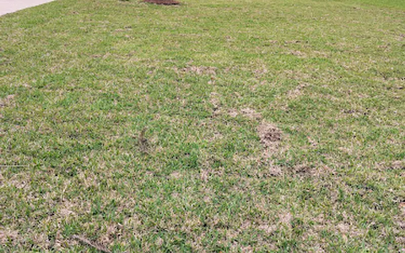 Soil Wizards Lawn & Pest Control — Pest control service
